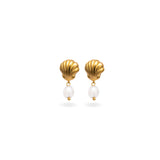 Shell Embrace Earrings