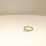 The Horizon Ring