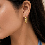 Nova Coil Gold Plated Hoops