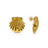 Seashell Studs