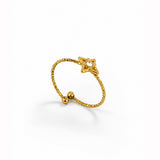 The Nova Ring