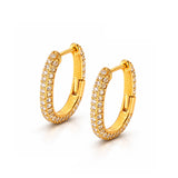 Radiance Oval Hoop Earrings