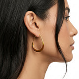 Oval Gold Hoops
