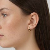 Vero Gold Hoops