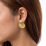 Seashell Studs