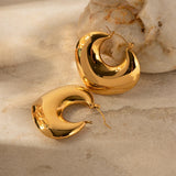 Golden Embrace Earrings