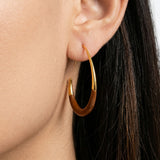 Oval Gold Hoops