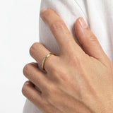 Dual Radiance Ring