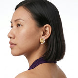 Golden Pearl Shell