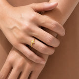 The Nova Ring