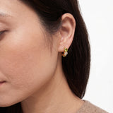Color Pop Hoops