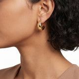 Glossy Drop Gold Plated Earrings