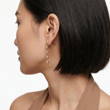 Crystal drizzle Hoops