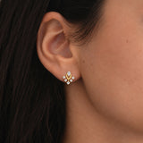 Aurelia Diamond Drop Earrings