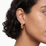 Glossy Drop Gold Plated Earrings
