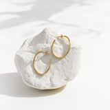 Honey light Hoops