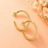 Shimmering Cascade Earrings