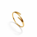 Golden sleek Band