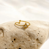 The Nova Ring