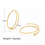 Zen Orbit Hoops