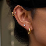 Vero Gold Hoops