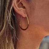 Oval Gold Hoops
